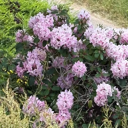 Prázdninový dům Rural Cottage, Escape With Mountain Views, Alsace, Ideal For Couples Pet Friendly